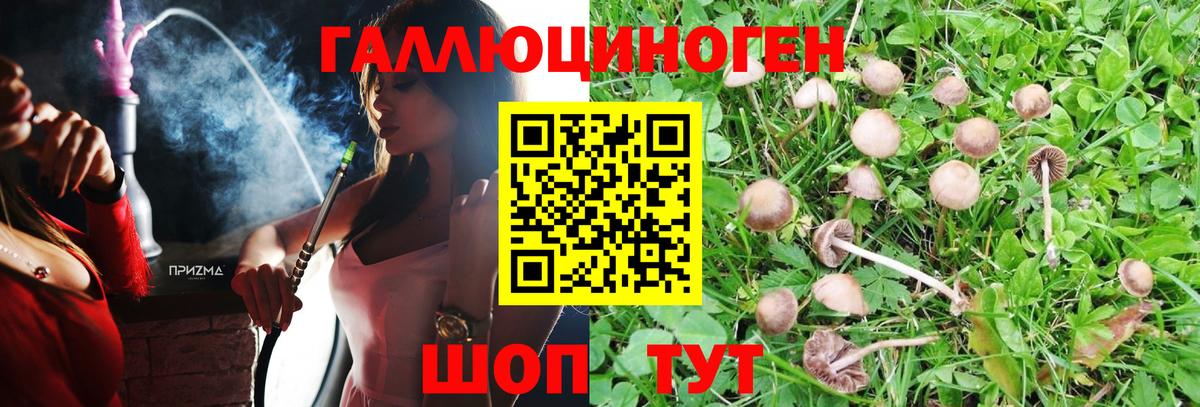 Галлюциногенные грибы Psilocybine cubensis  продажа наркотиков  Карталы  Псилоцибиновые грибы MAGIC MUSHROOMS  Вход с VPN 
